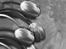Voorbeeld artwork Art de Coco
